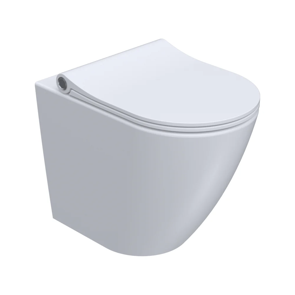 Ellisse II Wall Faced Pan Rimless (including Pressalit Seat)